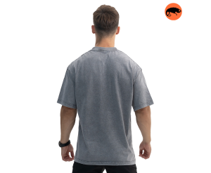 CHAMELEON ФУТБОЛКА WORNOUT LINGHT GREY YB66-03