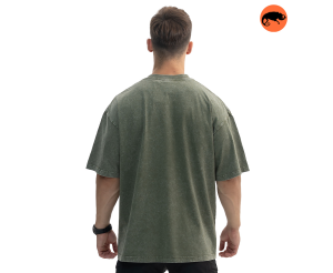 CHAMELEON ФУТБОЛКА WORNOUT NAVI GREEN YB66-02