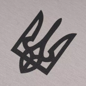 P1G-TAC ФУТБОЛКА С ПРИНТОМ ТРИЗУБ LOGO IRON GREY UA281-29891-IG-TRL
