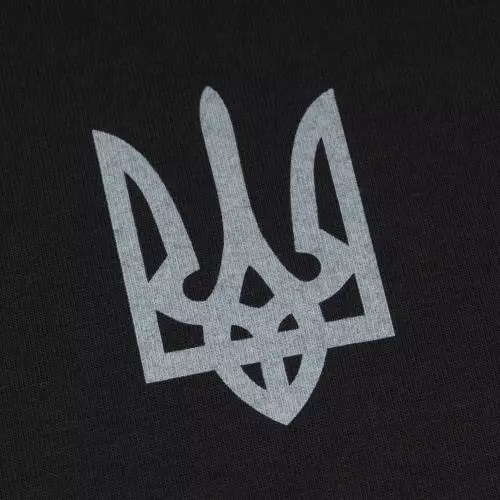 P1G-TAC ФУТБОЛКА З ПРИНТОМ ТРИЗУБ LOGO COMBAT BLACK UA281-29891-BK-TRL