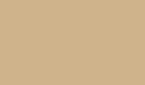 FOSCO КРАСКА МАСКИРОВОЧНАЯ ДЛЯ ОРУЖИЯ RAL 1001 MARSH GRASS 8824