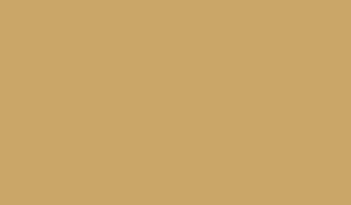 FOSCO ARMY PAINT SPRAY WH KHAKI TROPEN 400ML HS1910