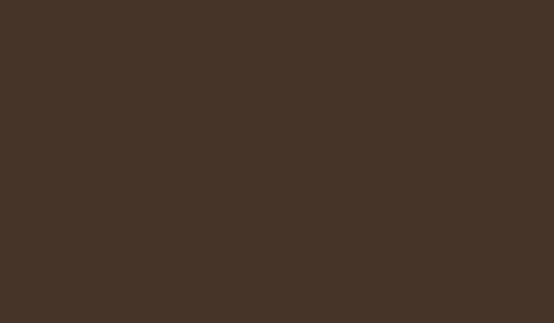 FOSCO КРАСКА МАСКИРОВОЧНАЯ ДЛЯ ОРУЖИЯ MUD BROWN RAL 8027 8822