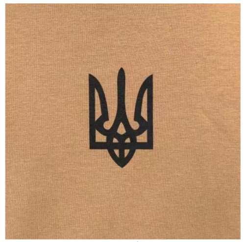 P1G-TAC ФУТБОЛКА З ПРИНТОМ ТРИЗУБ LOGO COYOTE BROWN UA281-29891-CB-TRL