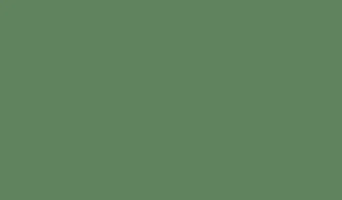 FOSCO КРАСКА МАСКИРОВОЧНАЯ ДЛЯ ОРУЖИЯ ENGLISH GREEN 8604 HS2207