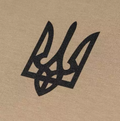 P1G-TAC ФУТБОЛКА С ПРИНТОМ ТРИЗУБ LOGO TAN UA281-29891-TN-TRL