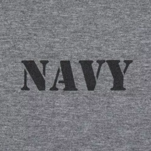 P1G-TAC ФУТБОЛКА З ПРИНТОМ NAVY LOGO GREY MELANGE UA281-29891-GM-NVL
