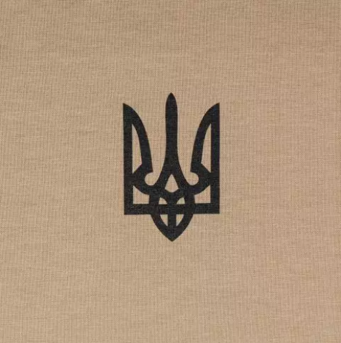 P1G-TAC ФУТБОЛКА С ПРИНТОМ ТРИЗУБ LOGO TAN UA281-29891-TN-TRL
