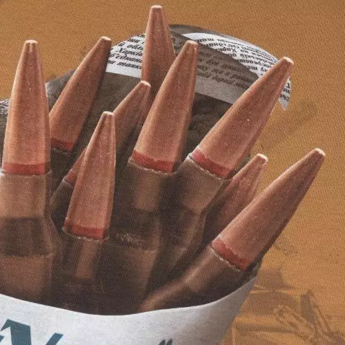 P1G-TAC ФУТБОЛКА С ПРИНТОМ SEMKI COYOTE BROWN UA281-29891-CB-SMK