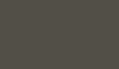 FOSCO КРАСКА МАСКИРОВОЧНАЯ ДЛЯ ОРУЖИЯ OLIVE DRAB RAL 6014 HS1465
