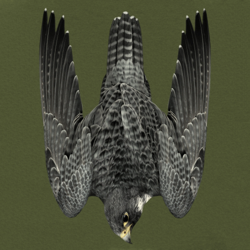 P1G-TAC ФУТБОЛКА FALCON OLIVE DRAB UA281-29891-OD-FLC