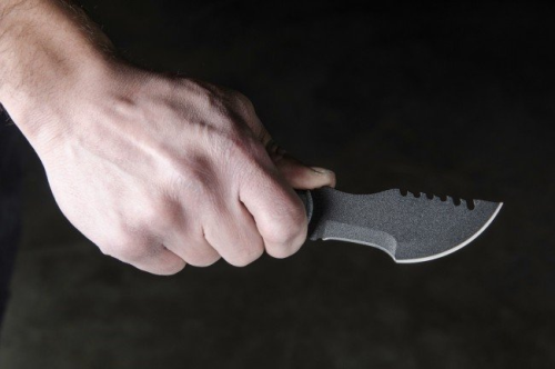TOPS KNIVES НІЖ TOM BROWN TRACKER 4 MINI TBT-040