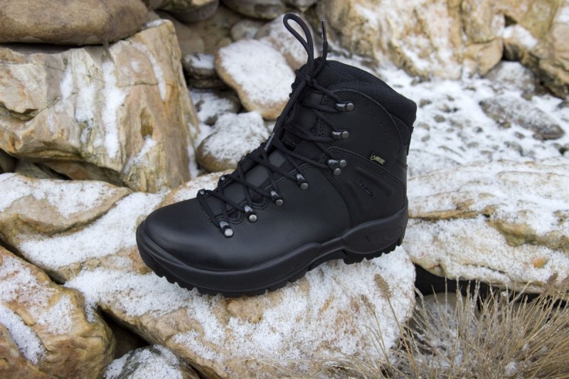 LOWA БОТИНКИ RONAN GTX MID TF 310670/999